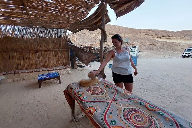 Stargazing in Hurghada Desert with Bedouin Dinner - Camel riding is a short taste, not a desert trek