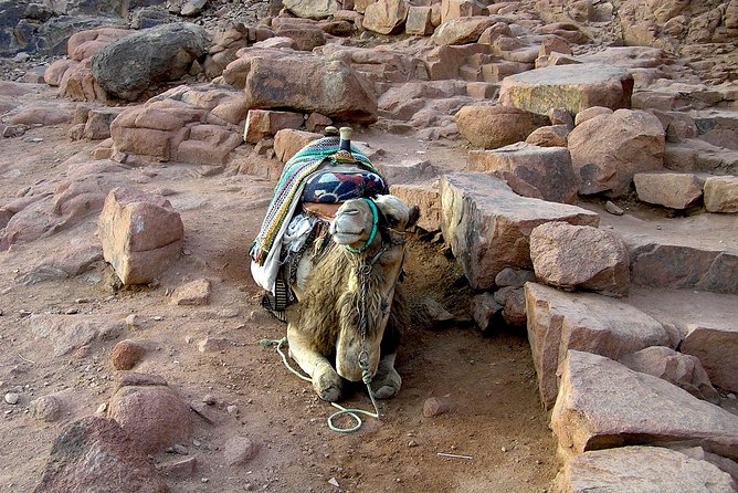 Sunrise at Mt.Sinai and St.Catherine monastery. Entrance included - Why the sunrise makes the hard climb worthwhile