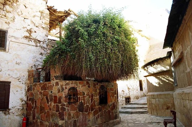 Sunrise at Mt.Sinai and St.Catherine monastery. Entrance included - St. Catherine’s Monastery after sunrise