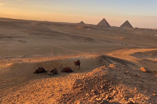 sunset at Giza pyramids by camels - Why the guided camel ride is safer and calmer