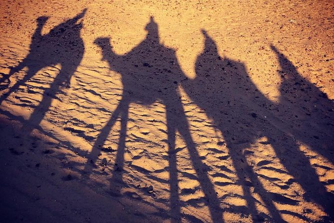 sunset at Giza pyramids by camels - What happens from hotel pickup to the desert