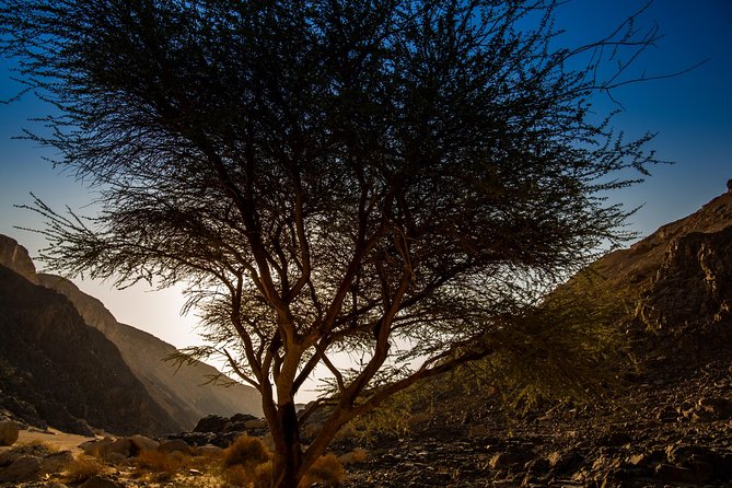 Sunset Luxury Experience to Dry Canyon Wadi Belli - Why Wadi Belli is different from a standard desert safari