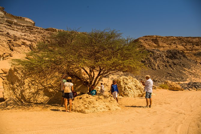 Sunset Oasis Desert Experience in El Gouna and Hurghada - Key points to know before you book