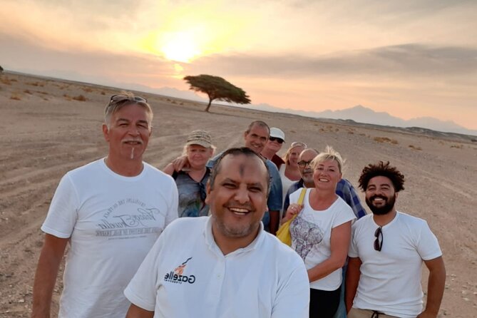 Sunset Oasis Desert Experience in El Gouna and Hurghada - The 4WD ride from Hurghada or El Gouna