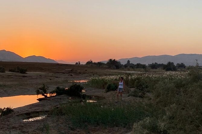 Sunset Oasis Desert Experience in El Gouna and Hurghada - Tea, camels, and time with a Bedouin family