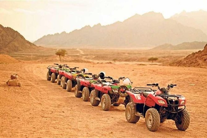 Sunset Quad Bike Safari Tour in Luxor - Who should book this West Bank safari?