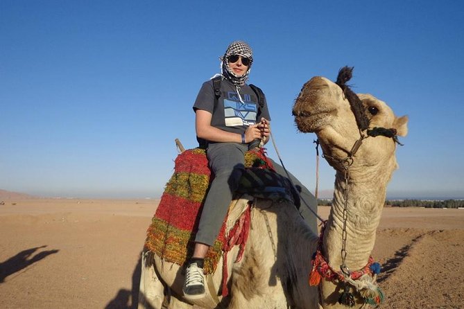 Super Safari ATV, Buggy Car, Camel Ride, Bedouin Dinner -Hurghada - A shorter buggy-car run