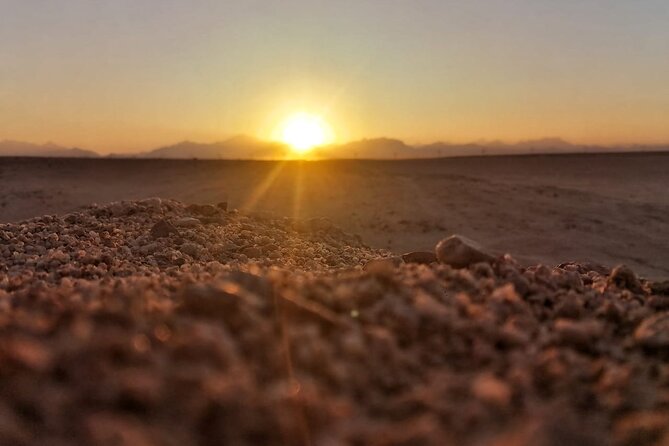 Super Safari ATV, Drive Buggy, Camel Ride, Dinner & Show-Hurghada - Key points to know before booking