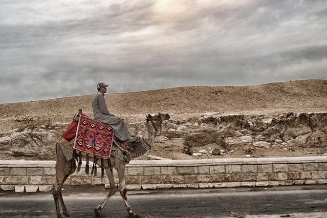 Super Safari ATV, Drive Buggy Car, Camel Ride, Bedouin Dinner, Show-Hurghada - Bedouin tea, natural remedies, and village life