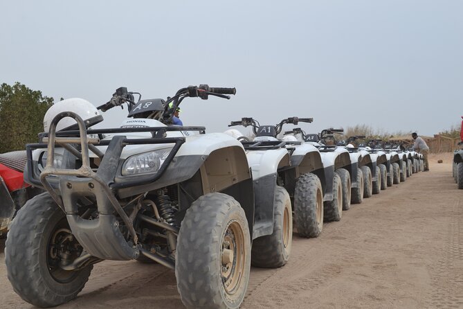 Super Safari ATV, Drive Buggy Car, Camel Ride, Bedouin Dinner, Show-Hurghada - ATV quad biking through the desert