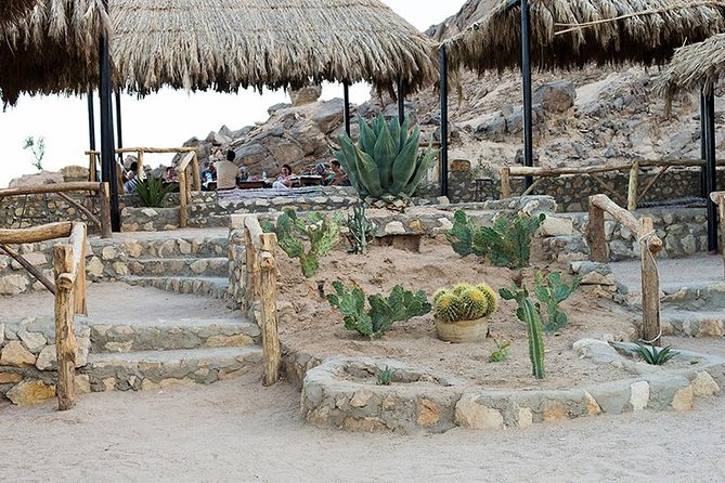 Super Safari, ATV & Sunset, Camel Ride With Dinner - Marsa Alam - Music, Tanoura, and the evening show