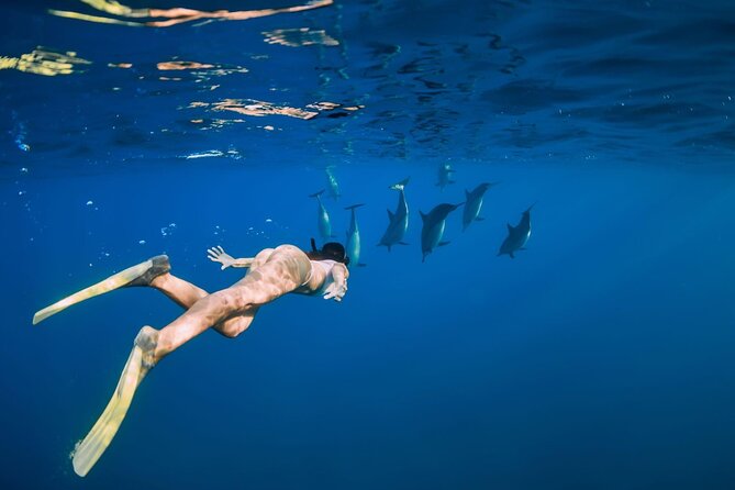 Swimming With Dolphin in Red Sea Adventure with Lunch - Hurgada - Safety, swimming ability, and children