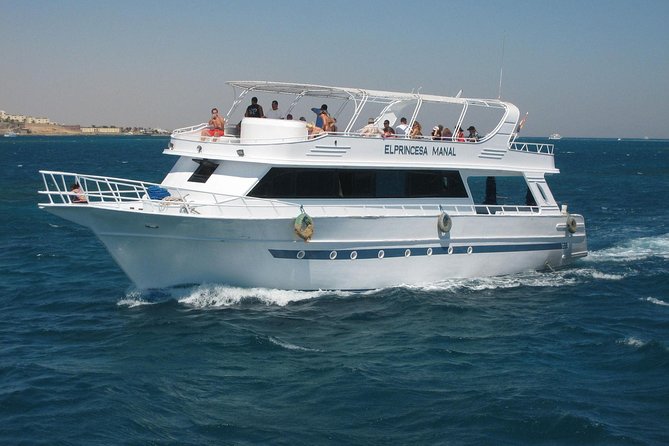 Swimming with Dolphin VIP Snorkeling Sea Trip With Lunch and Transfer - Hurghada - Who will enjoy this trip most