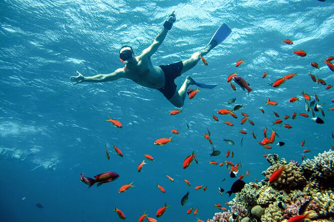 The Giftun Island Orange Sea Excursion from Hurghada - Two reef stops for snorkeling