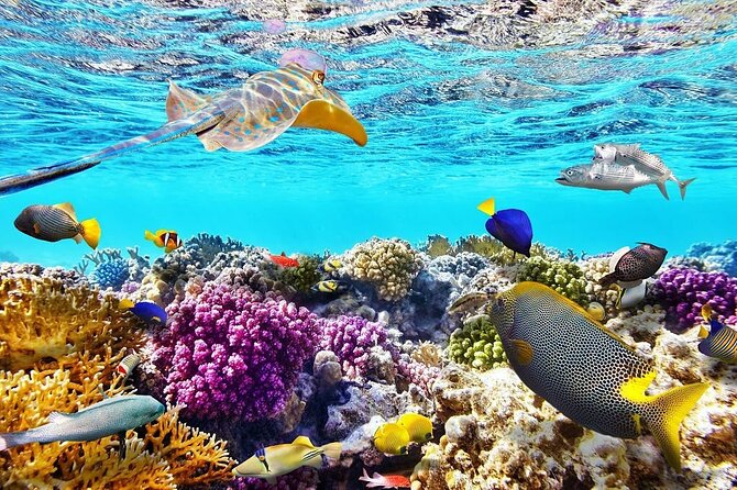 Tiran Island Snorkeling Excursion - The boat ride to the reef