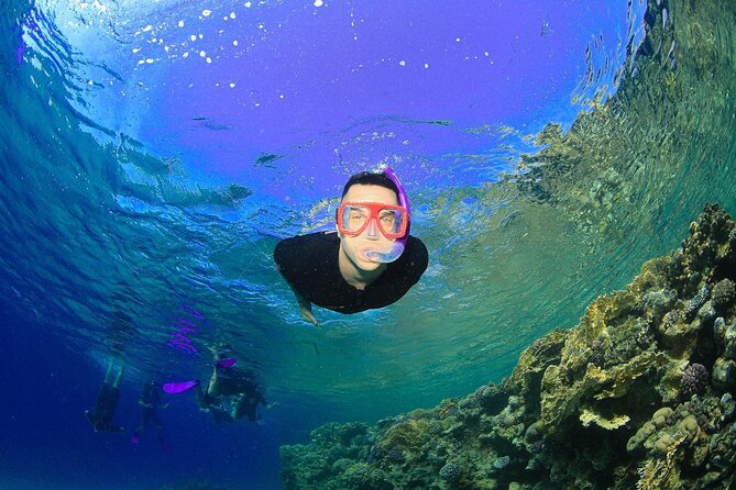 Tiran Island Snorkeling Experience by Yacht Sharm El Sheikh - How the timing affects your day