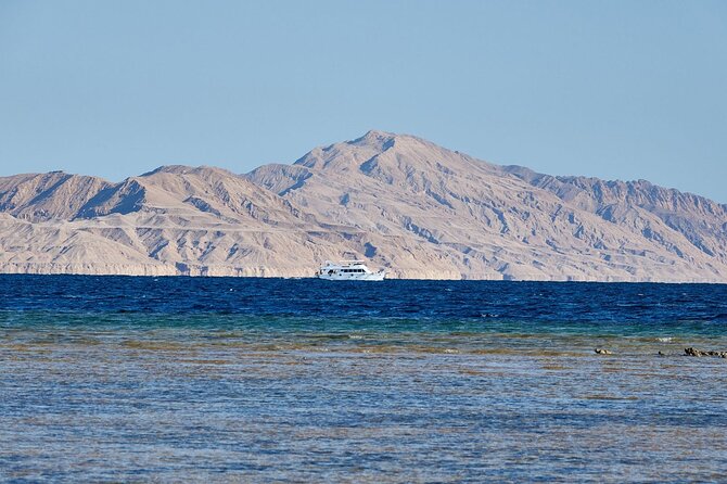 Tiran Island Snorkeling Experience by Yacht Sharm El Sheikh - Who will get the most from this $30 boat trip