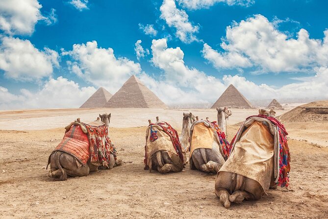Tour to Cairo and the Pyramids from Hurghada by Private Vehicle - Who will enjoy this most?