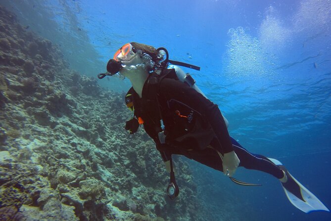 Try Scuba Diving Experience for Beginners in Hurghada - Two 30-minute visits to Red Sea reefs