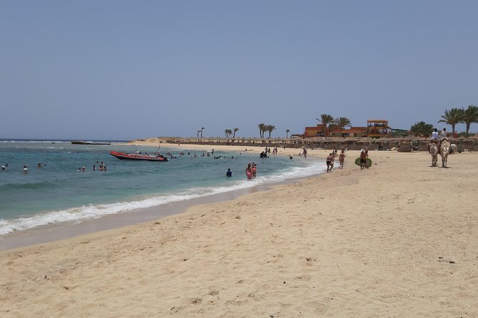 Turtles Bay, Swimming with Turtles Hurghada & Marsa ALam - Key points at a glance
