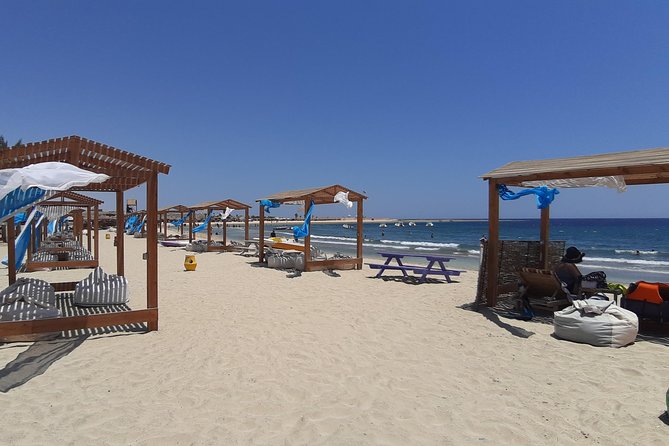 Turtles Bay, Swimming with Turtles Hurghada & Marsa ALam - Why Abu Dabbab’s turtles are the main event