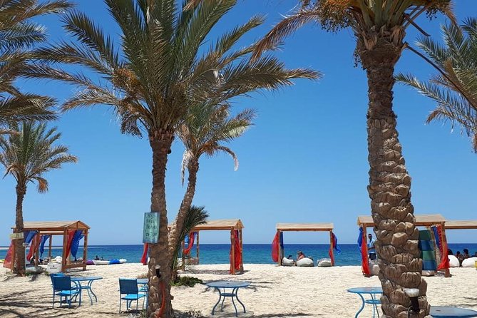 Turtles Bay, Swimming with Turtles Hurghada & Marsa ALam - Snorkeling for beginners and confident swimmers