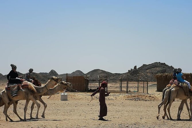 Ultimate Desert Experience - A fast taste of the Sinai Desert