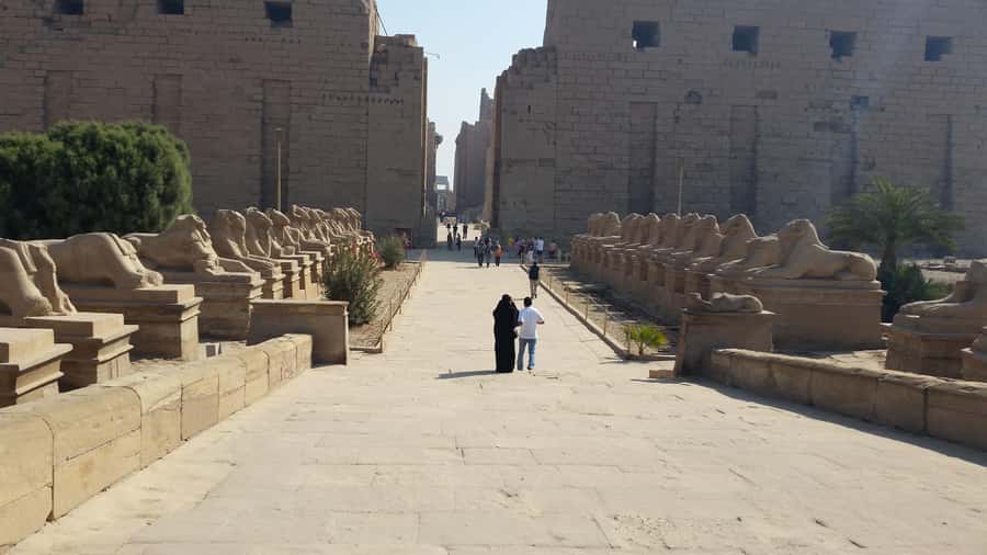 Valley of the Kings Full Day tour in Luxor - Who will enjoy this Luxor day tour
