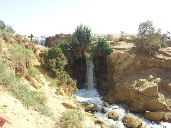 Valley of Whales and Wadi El Rayan Water Falls Day Tour from Cairo - Key points before you book