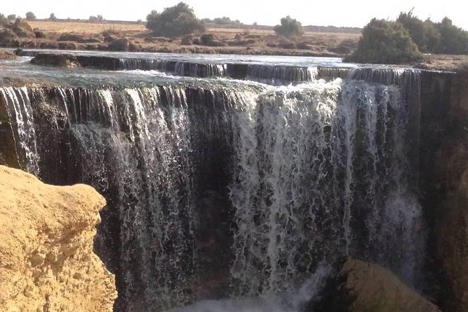 Valley of Whales and Wadi El Rayan Water Falls Day Tour from Cairo - Lunch at the desert camp