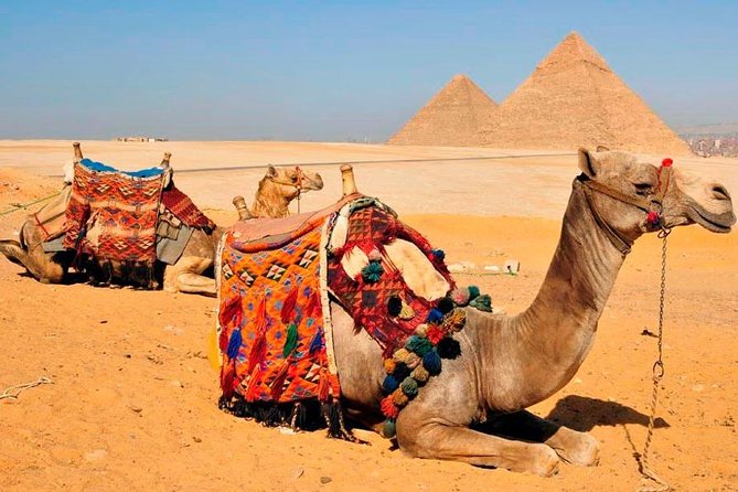 VIP All inclusive Best of Giza Pyramids, Sphinx, Sakkara, Memphis - Ancient Memphis and its enormous Ramses statue