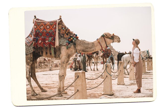 VIP All inclusive Best of Giza Pyramids, Sphinx, Sakkara, Memphis - Your guide can make or break the day