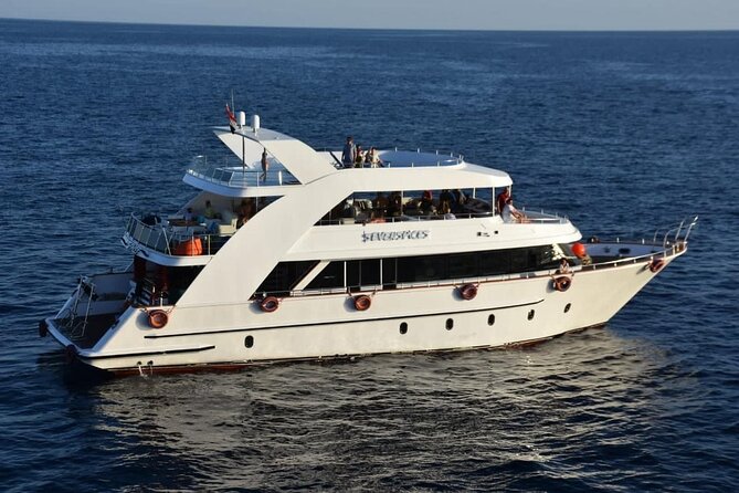 VIP Ras Mohamed and White Island boat trip - Key points at a glance