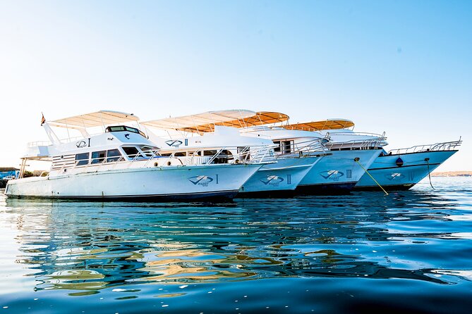 Viva Egypt hurghada Hula Hula Island & Lunch & Water sports 3<em>1 – Key points at a glance’ /></p>
<ul>
<li><strong>Two snorkeling stops</strong> give you separate chances to see Red Sea coral and fish rather than relying on one brief swim.</li>
<li><strong>Hula Hula Island and Paradise Island names</strong> appear in the tour description, so confirm the exact beach destination at pickup.</li>
<li><strong>Banana and Quadra rides</strong> add a lively, motorized-water-sports element to an otherwise relaxed island day.</li>
<li><strong>A simple buffet lunch and drinks</strong> are included, keeping the basic cost low once you are on the boat.</li>
<li><strong>Extra hotel transfer charges apply</strong> from El Gouna, Sahel Hasheesh, Makadi, Safaga, and Soma Bay.</li>
<li><strong>Weather can change the schedule</strong>, and a poor-weather cancellation comes with a new date or full refund.</li>
</ul>
<h2>Sailing out from Hurghada at 8:00 AM</h2>
<p><img width="669" height="446" decoding="async" src=