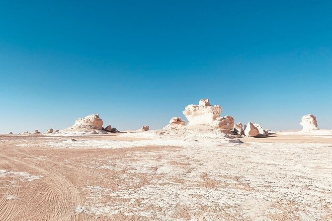 White & Black Desert tour 2 Days 1 night camping from Cairo. - Food, water, and what $110 really covers