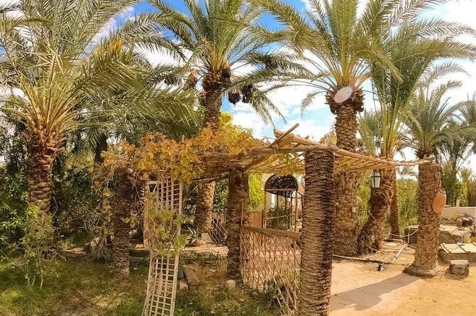 White Desert & Bahariya oasis 3 days 2 nights Tour from Cairo - What the second night at the oasis is really like