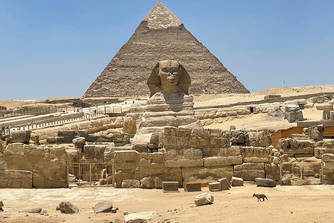 Your VIP Giza Tour: Pyramids, Camels & Authentic Egyptian food - The Panorama and a Camel Ride